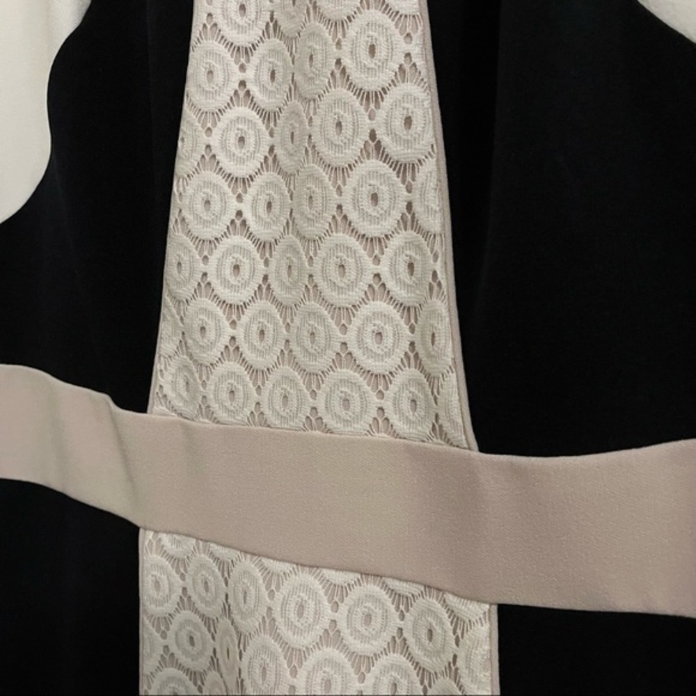 COPY - Colorblock Lace Inset Sheath Dress - Picture 3 of 5